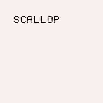 JAN MACHENHAUER CHRISTOPHER SHIRT SCALLOP