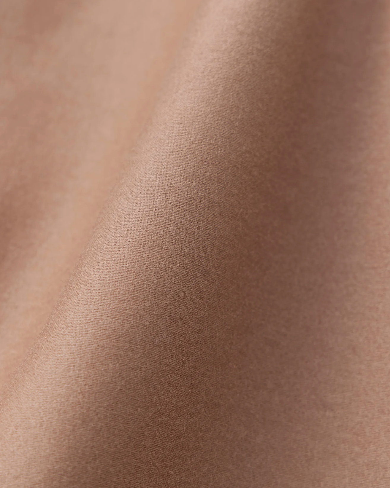 NICENESS INNES CAMEL