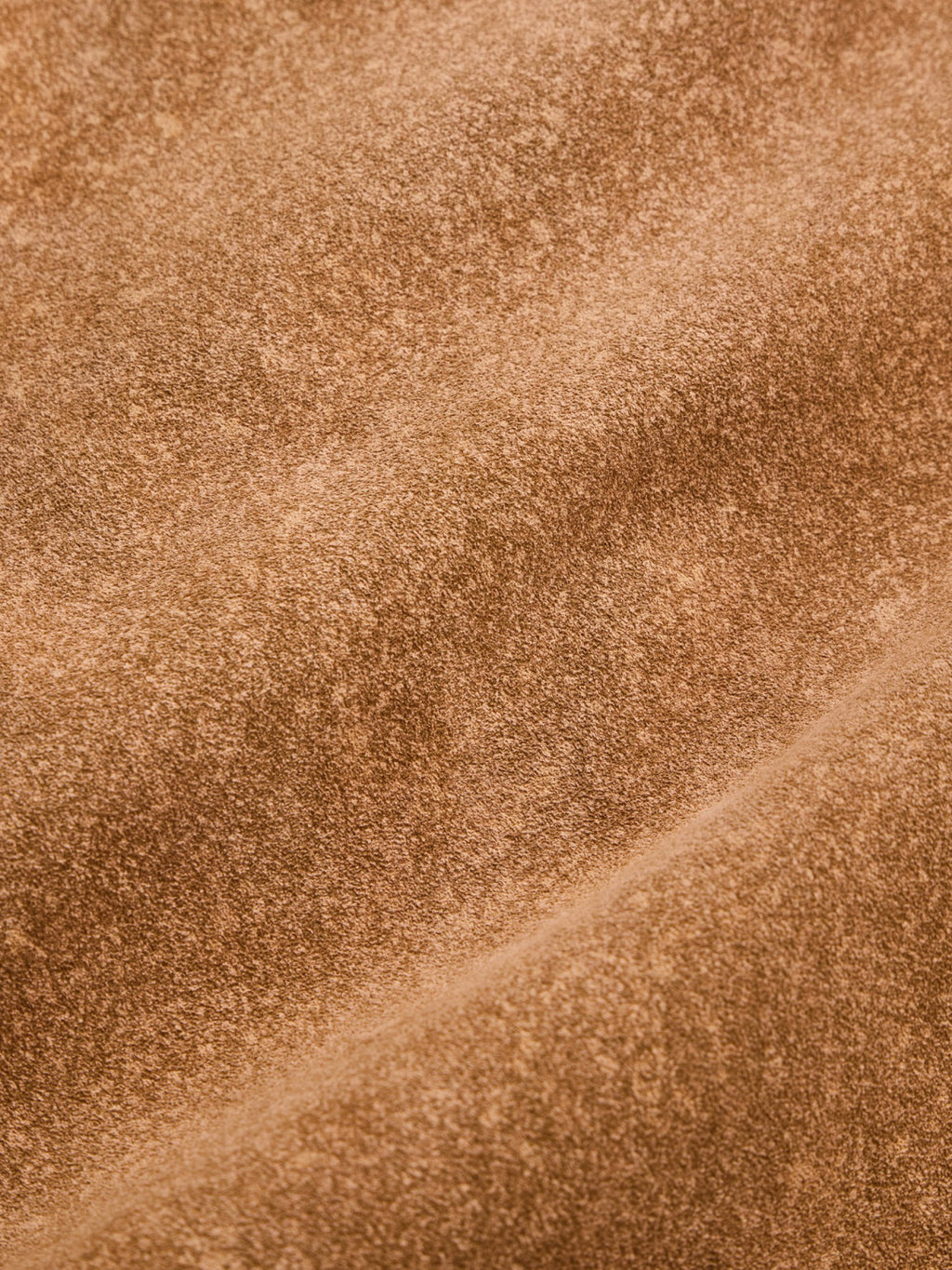 NICENESS LENNOX CAMEL