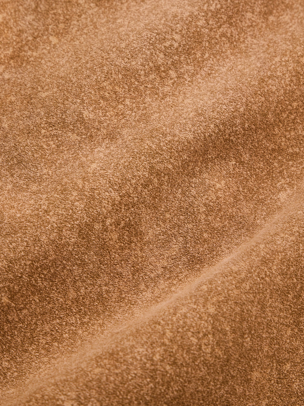 NICENESS LENNOX CAMEL